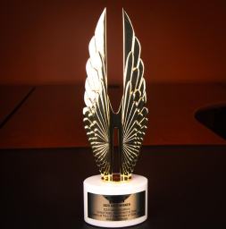 Hermes Gold Award for website redesign excellence.